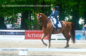 Heidi Conlon aboard her impressive chestnut Donnerhall grandson Donnerzauber