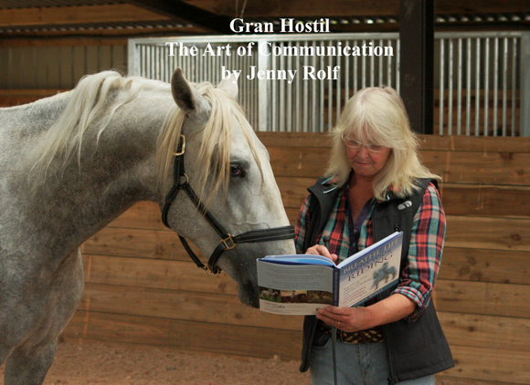 Gran Hostil The Art of Communication by Jenny Rolfe