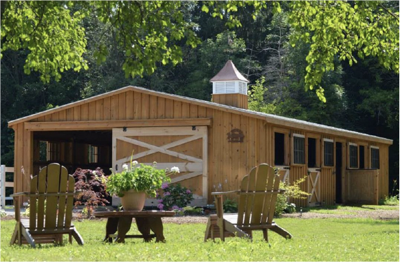 Best Landscaping Practices Around Your New Horse Barn