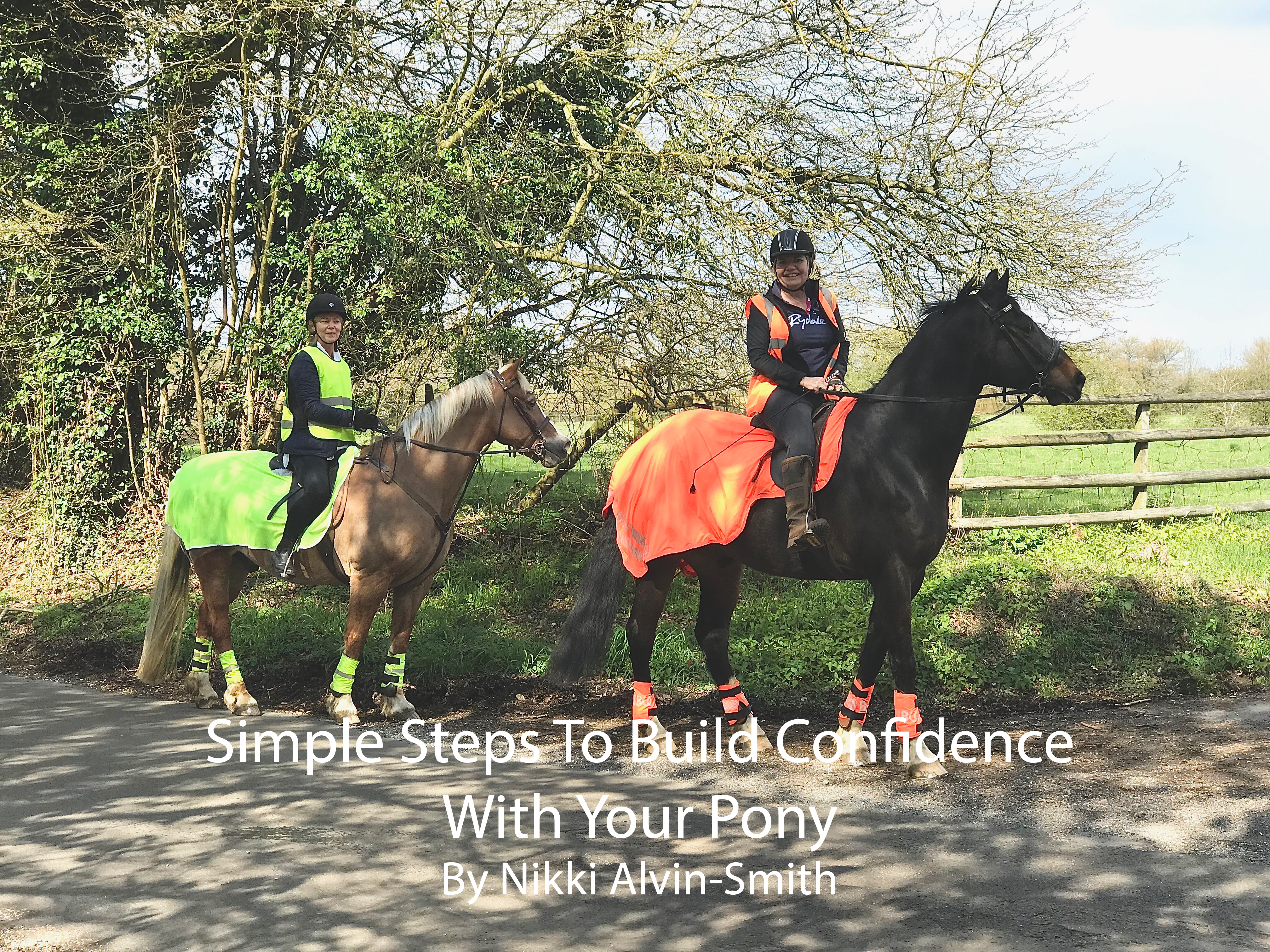 Simple Steps To Build Confidence With Your Pony