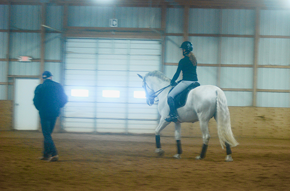 Dressage Lesson