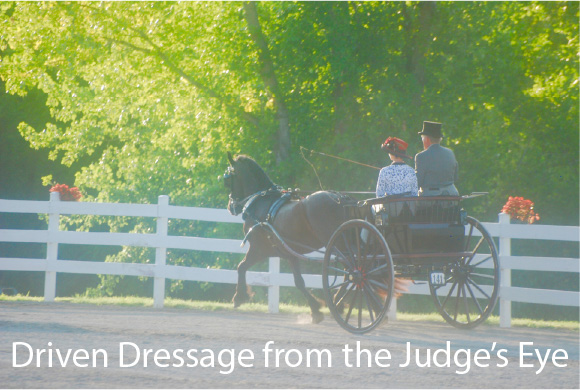 Driven Dressage from the Judge’s Eye