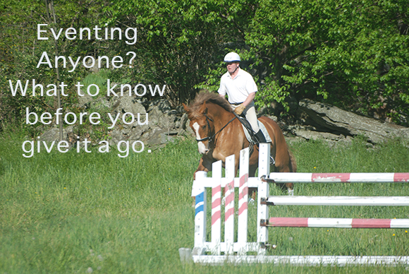 Eventing Anyone?
Eventing Anyone?
What to know before you give it a go.