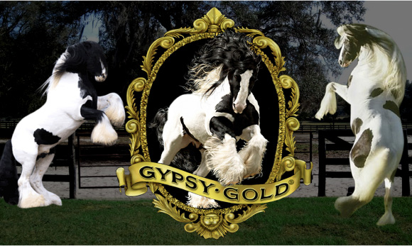 What’s In A Name? The Gypsy Vanner Revealed