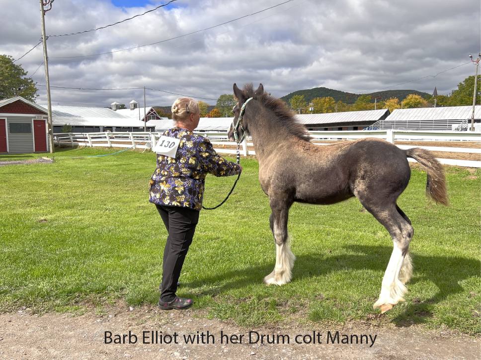 Barb Elliot with her Drum colt Manny