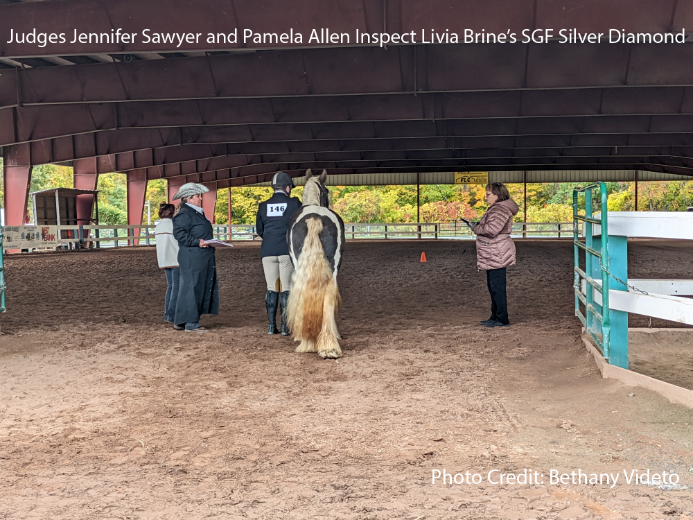 Judges Jennifer Sawyer and Pamela Allen Inspect Livia Brine’s SGF Silver Diamond