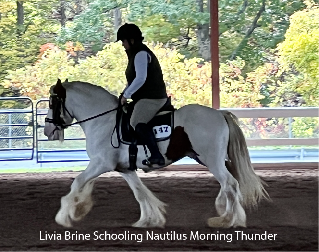 Livia Brine Schooling Nautilus Morning Thunder
