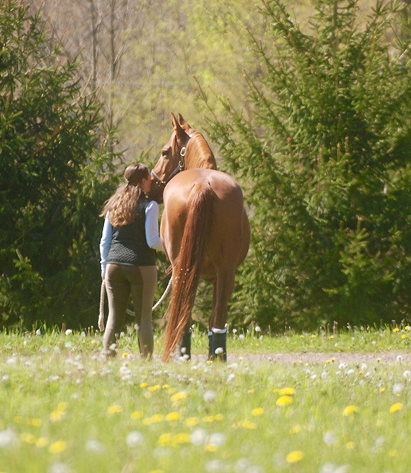 Horse and Owner