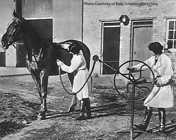 Horse Clipping History and Hacks For Success 