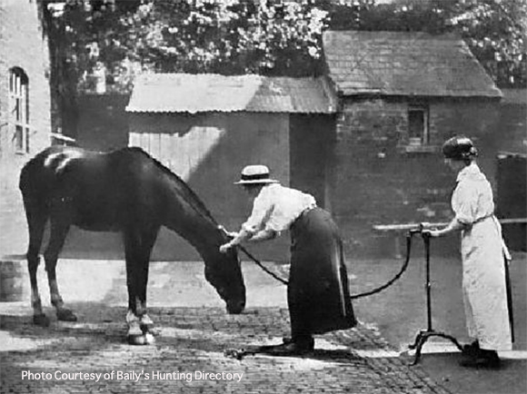 Horse Clipping History and Hacks For Success 