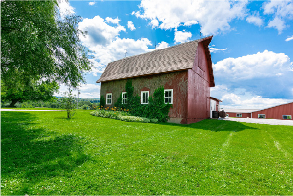 Barn