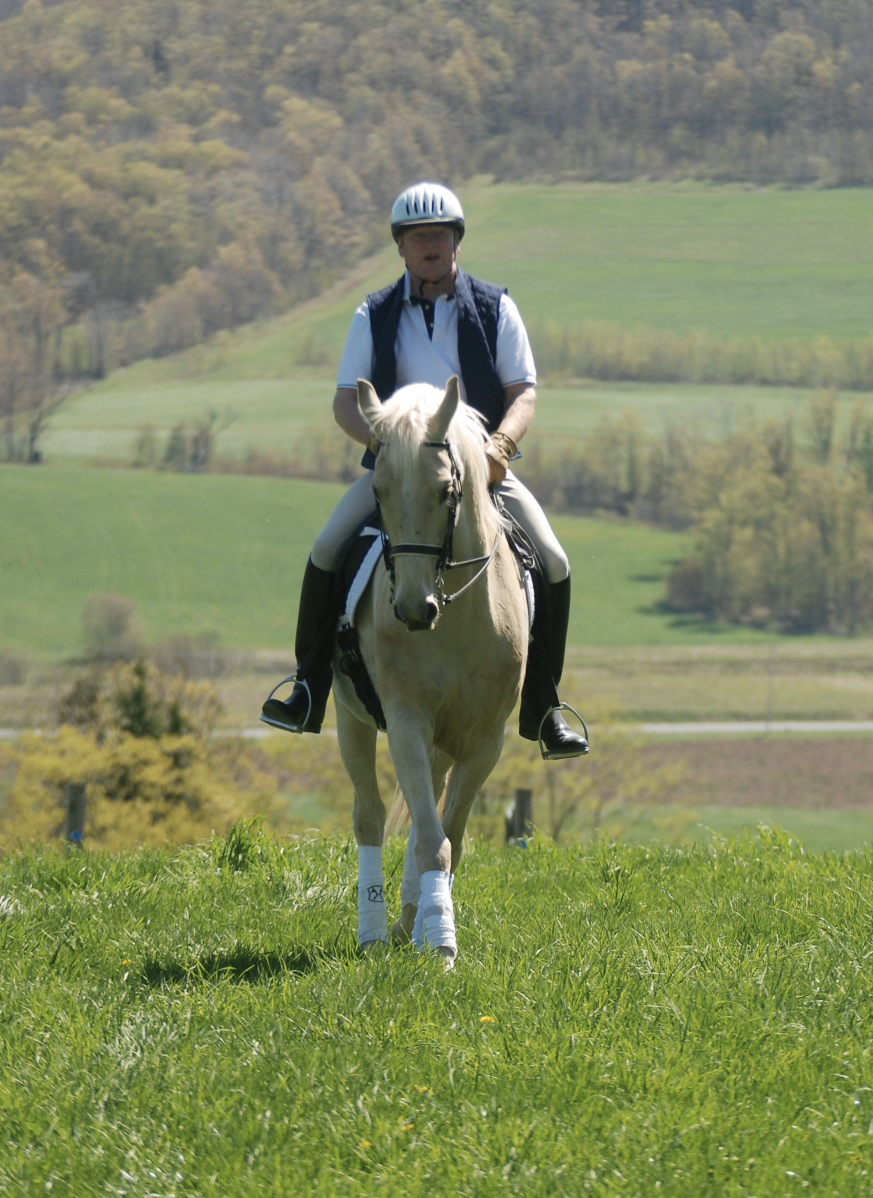 Improve Your Handiwork On The Reins