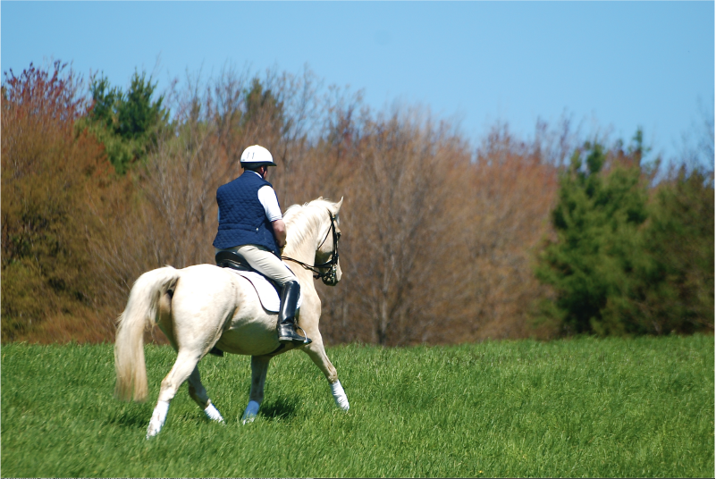 Improve Your Handiwork On The Reins