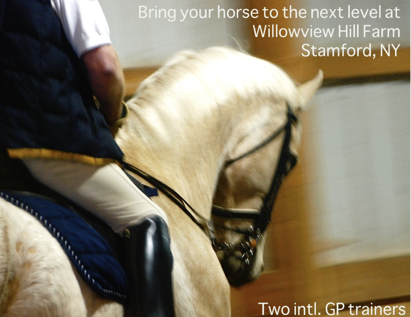 Improve Your Handiwork On The Reins