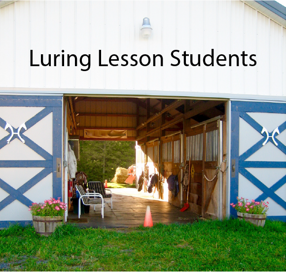 Luring Lesson Students