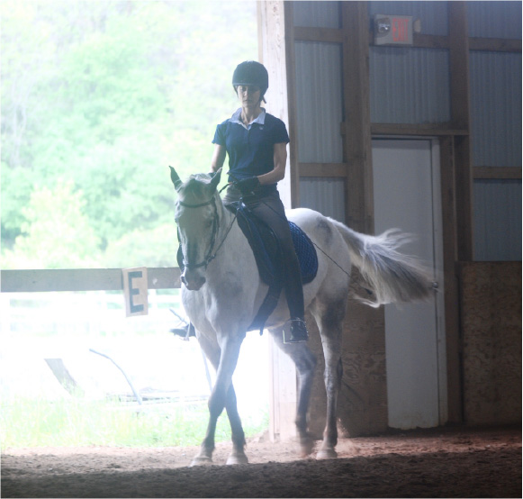 Managing Arthritis In The Senior Riding Horse