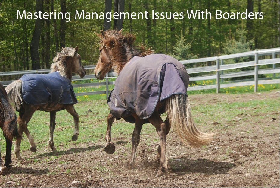 Mastering Management Issues With Boarders