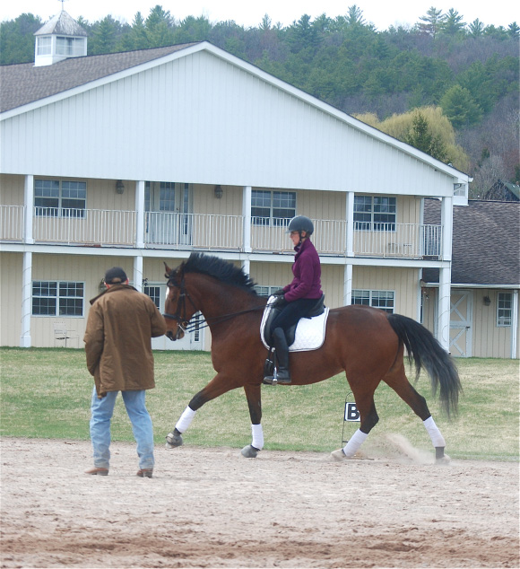 Need a Riding Instructor/Trainer? How to Find the Perfect Fit