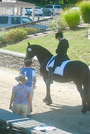 Ready to enter the show ring