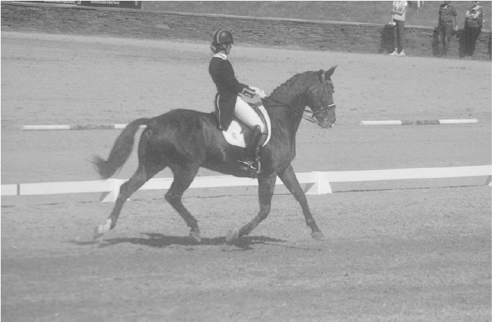 Riding By The Seat Of Your Pants In Dressage- Riding By The Seat Of Your Pants In Dressage-
