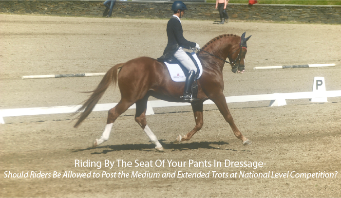 Riding By The Seat Of Your Pants In Dressage- Riding By The Seat Of Your Pants In Dressage-