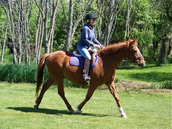 Riding the Senior Horse