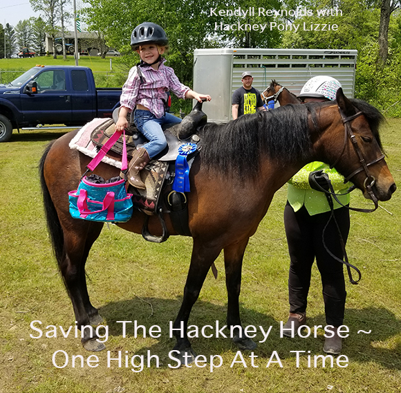 Kendyll Reynolds with Hackney Pony Lizzie