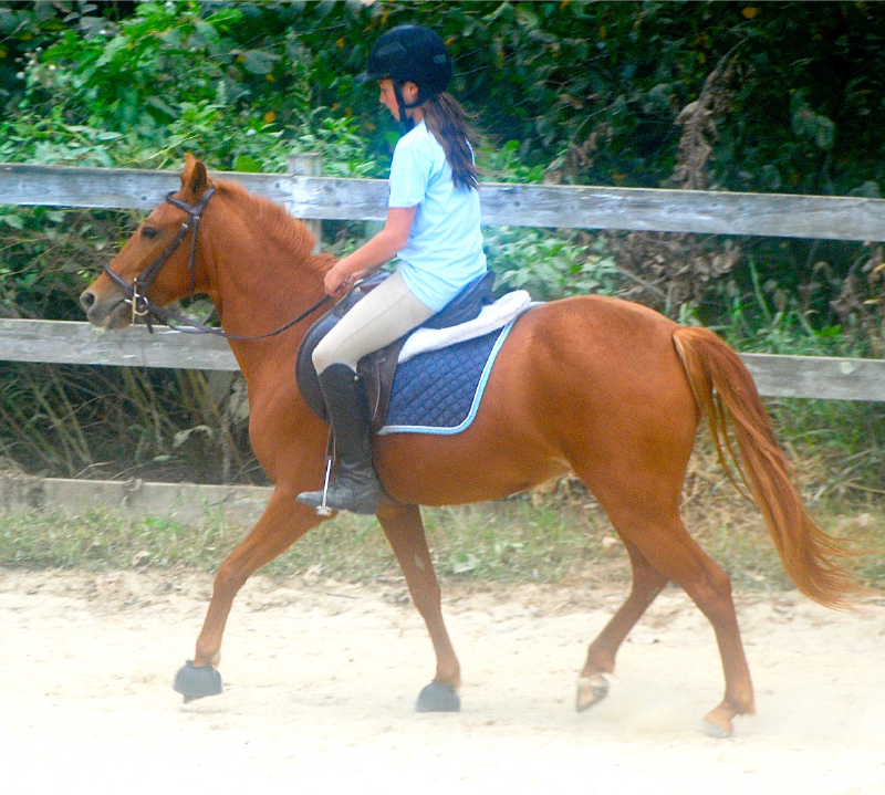 Solving Pony Problems Solving Pony Problems