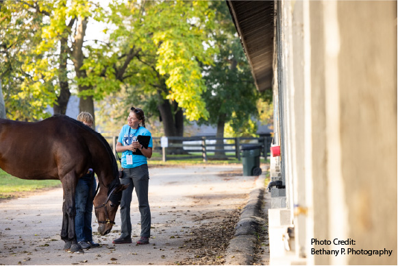 Stress Relief ~ Music To Your Horse’s Ears