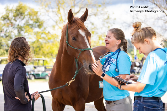 Stress Relief ~ Music To Your Horse’s Ears