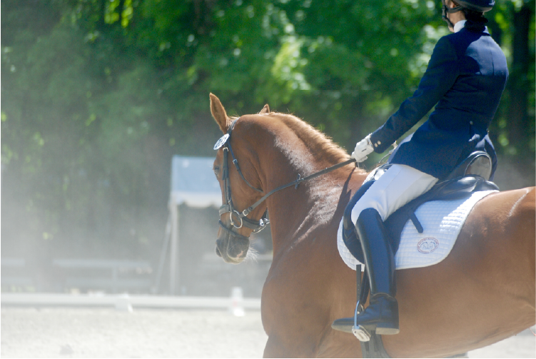 The Dressage Center Line Scurry