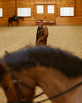 The Glorious Indoor Arena ~ I Want One But How Can I Afford It?