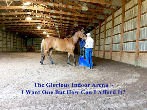 The Glorious Indoor Arena ~ I Want One But How Can I Afford It?