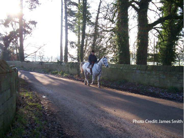 Trail Riding 101 ~ Get Started The Right Way