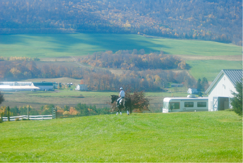 Trail Riding 101 ~ Get Started The Right Way