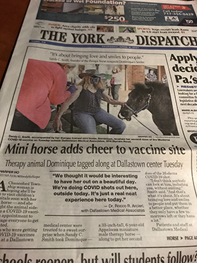 The York Dispatch