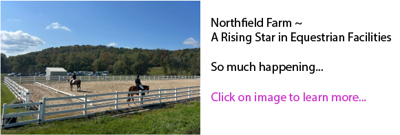 Northfield Farm ~ A Rising Star in Equestrian Facilities Northfield Farm ~ A Rising Star in Equestrian Facilities