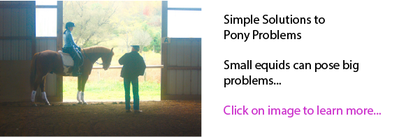 How To Take Horse Farm Design A Stride Further 