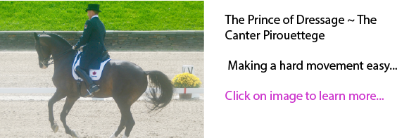 The Prince of Dressage ~ The Canter Pirouette