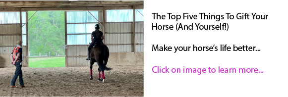 The Top Five Things To Gift Your Horse (And Yourself!) The Top Five Things To Gift Your Horse (And Yourself!)