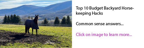 Top 10 Budget Backyard Horsekeeping Hacks Top 10 Budget Backyard Horsekeeping Hacks