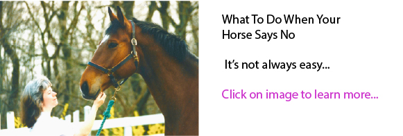 What To Do When Your Horse Says No